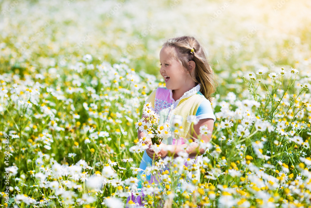 Little girl picking flowers in daisy field Little girl picking flowers in daisy field