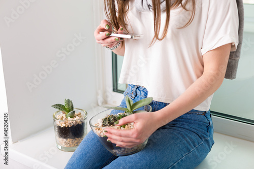 Flower pots with succulents photo