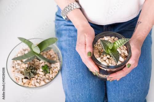 Flower pots with succulents photo