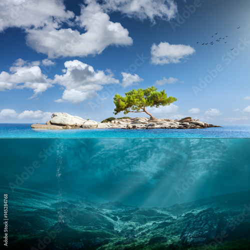 Idyllic small island with lone tree in the ocean