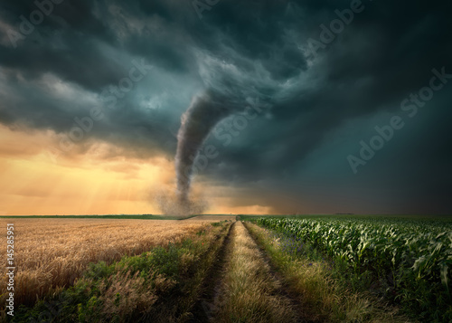 Fototapeta Tornado struck on agricultural fields at sunset