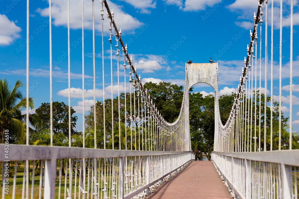 Fototapeta premium Udon Thani central park bridge