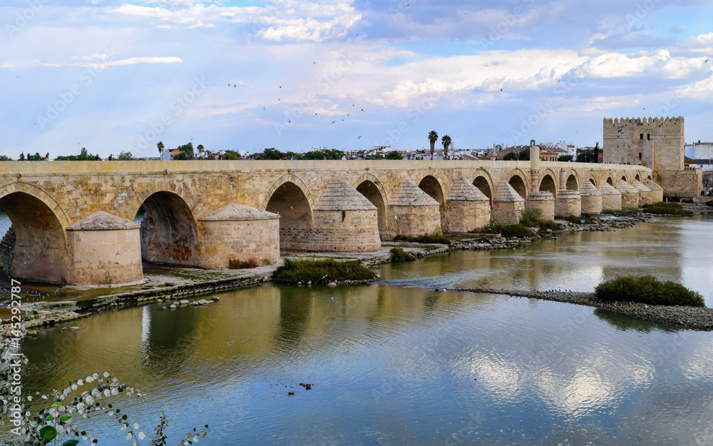 The Roman Bridge over the Guadalquivir River in Cordoba, Andalusia, Spain