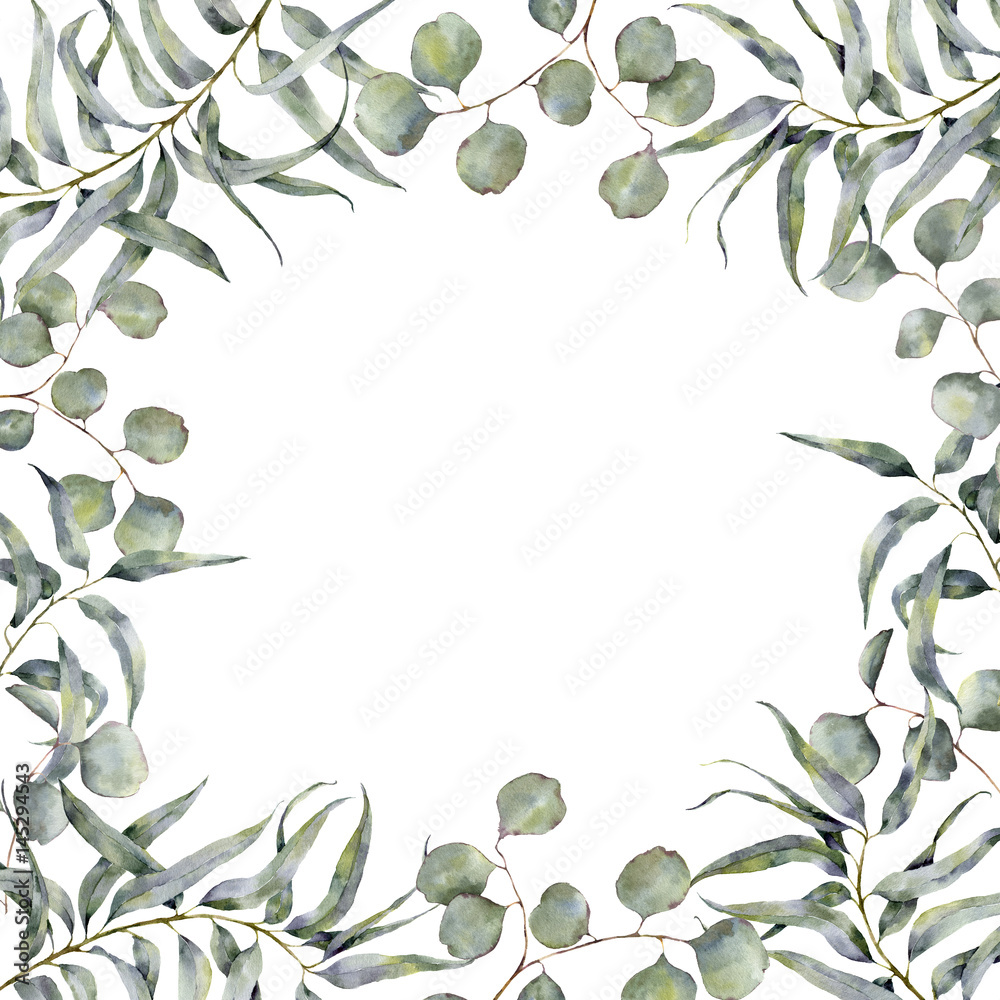 watercolor-border-with-eucalyptus-branch-hand-painted-floral-frame