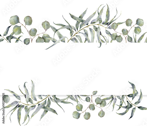 Watercolor card with eucalyptus branch. Hand painted floral frame with round leaves of silver dollar eucalyptus isolated on white background. For design or print