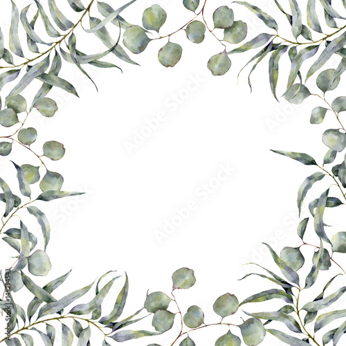 Watercolor border with eucalyptus branch. Hand painted floral frame with round leaves of silver dollar eucalyptus isolated on white background. For design or print