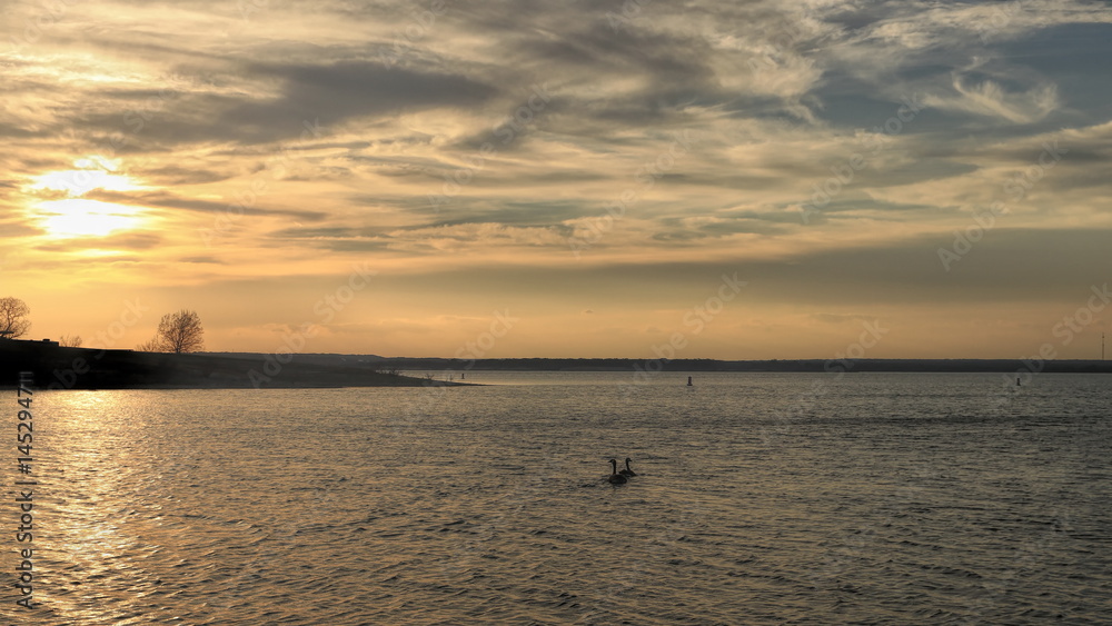 Sunset with Geese