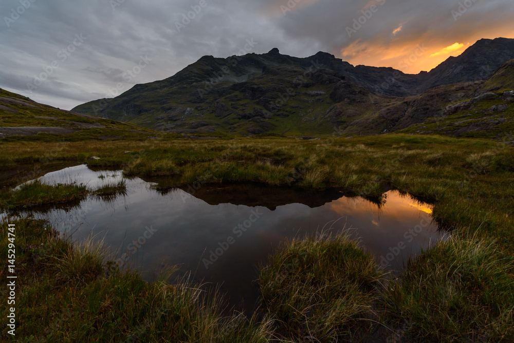 Fototapeta premium Moorland