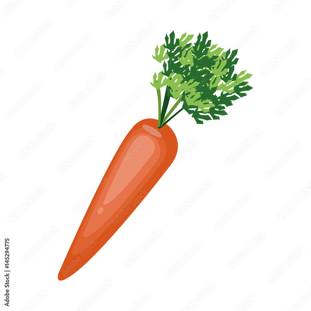 carrot vegetable icon over white background. colorful design. vector illustration carrot vegetable icon over white background. colorful design. vector illustration