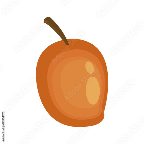 mango fruit icon over white background. colorful design. vector illustration