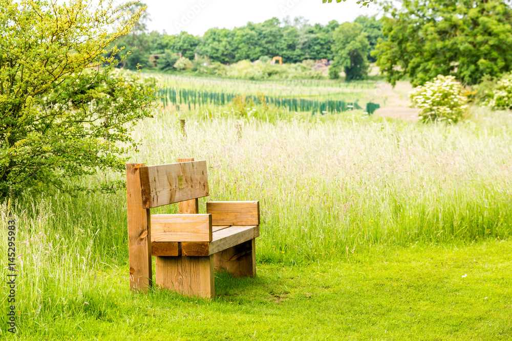 Bench in the park on footpath background Bench in the park on footpath background
