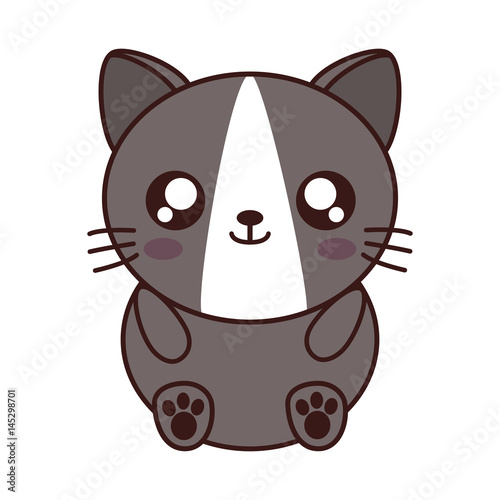 kawaii cat animal icon over white background. colorful design. vector illustration