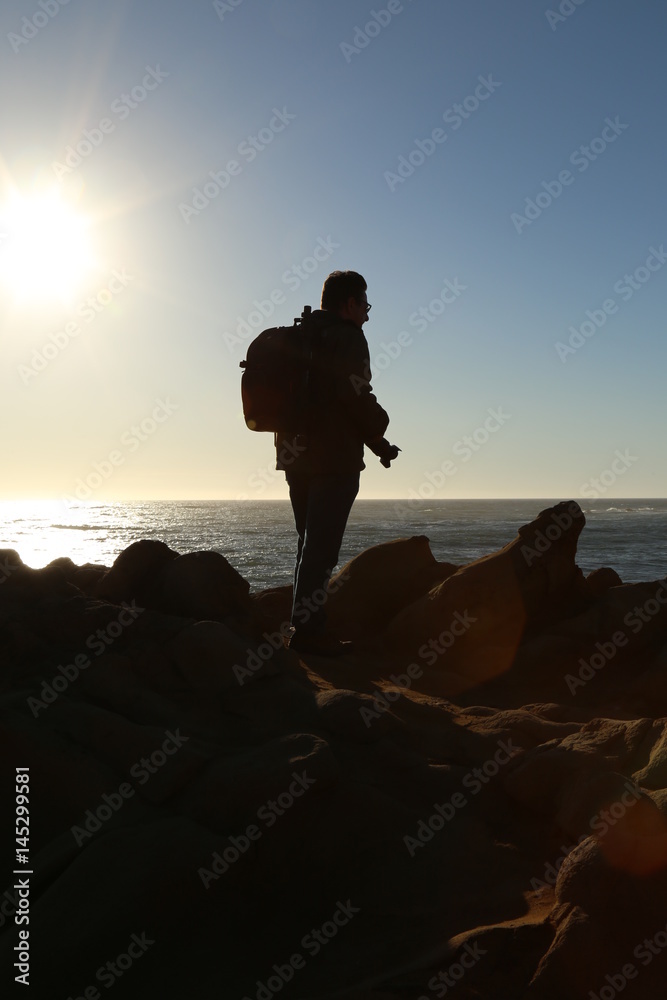Fototapeta premium Silhouette