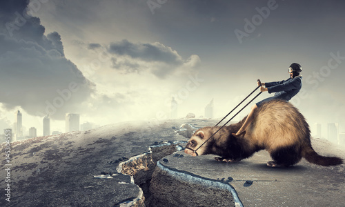 Fotografie, Obraz Woman ride ferret . Mixed media