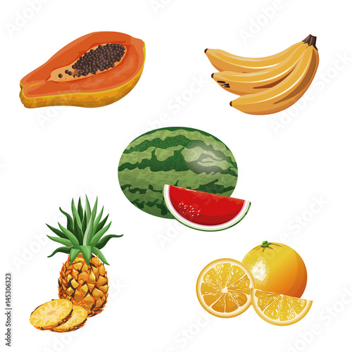 Fototapeta Naklejka Na Ścianę i Meble -  fruit tropical fresh harvest vector illustration eps 10