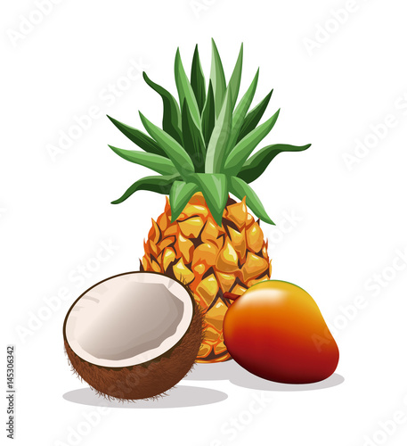 pineapple mango and coconut fruit fresh harvest vector illustration eps 10