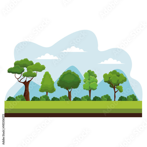 tree nature ecology plant vector illustration eps 10