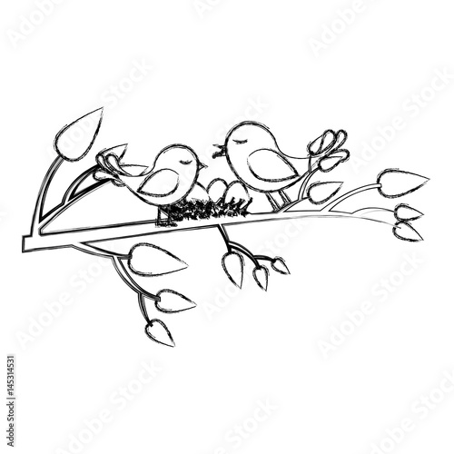 monochrome sketch of birds and nest in tree branch vector illustration