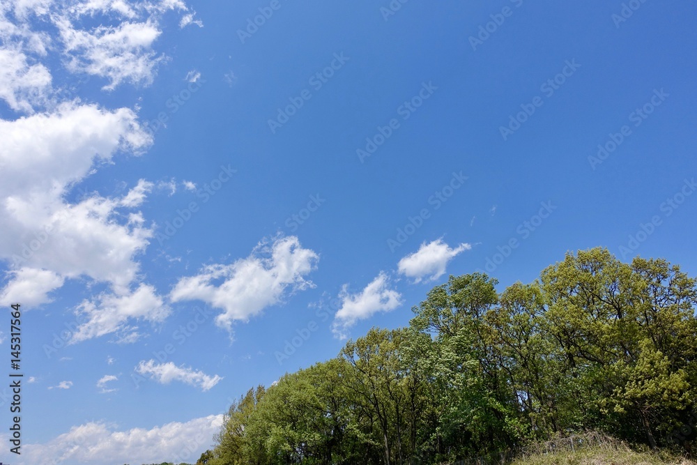 春の青空