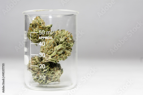 Science, Research, Technology and Cannabis -  The Increasingly Legal, Medical and Recreational Use of Marijuana