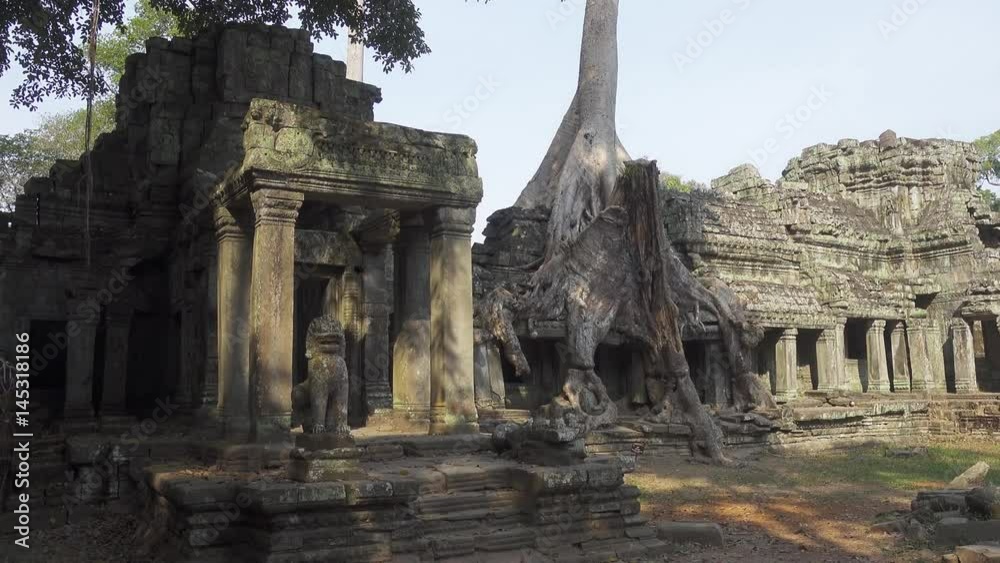 Ta Prohm temple in Angkor Wat, Siem Reap, Cambodia, pan view, 4k
Ta Prohm temple in Angkor Wat, Siem Reap, Cambodia, pan view, 4k