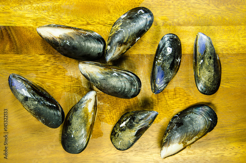Blue New Zealand mussels on the Wood background.