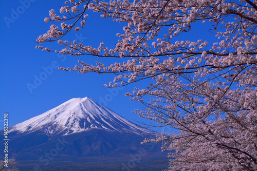 Mount Fuji and cherry blossoms Blue Sky,Fuji Kawaguchiko Town
