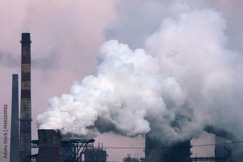 Plant with smoke