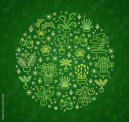 Canvas Print House plants concept for garden center, flower & florist shop