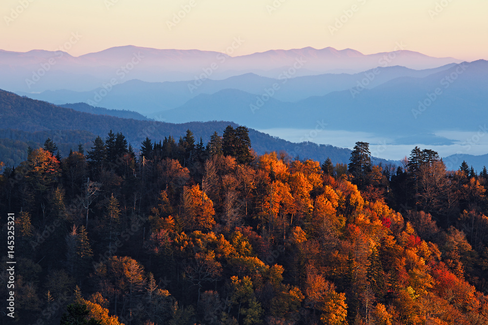 Fototapeta premium Sunrise at Smoky Mountains