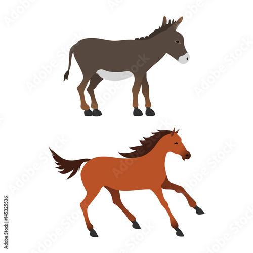 Horse pony stallion isolated different breeds color farm equestrian animal characters vector illustration.