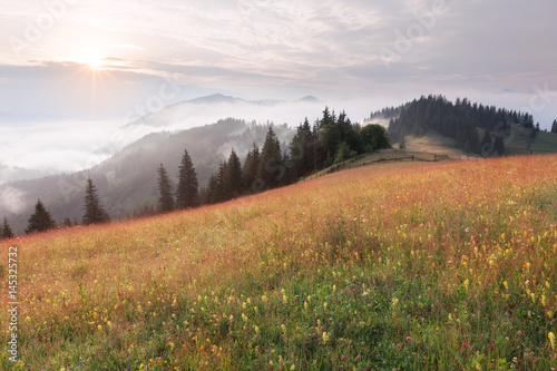 Mountain hills and meadows at summer sunny day