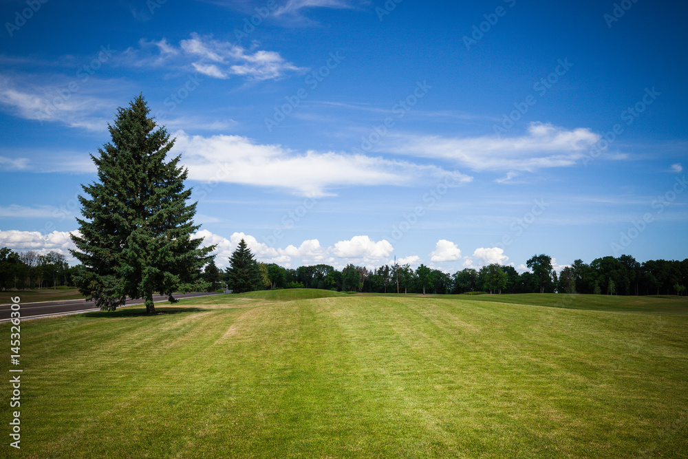 Green grass lawn at city park