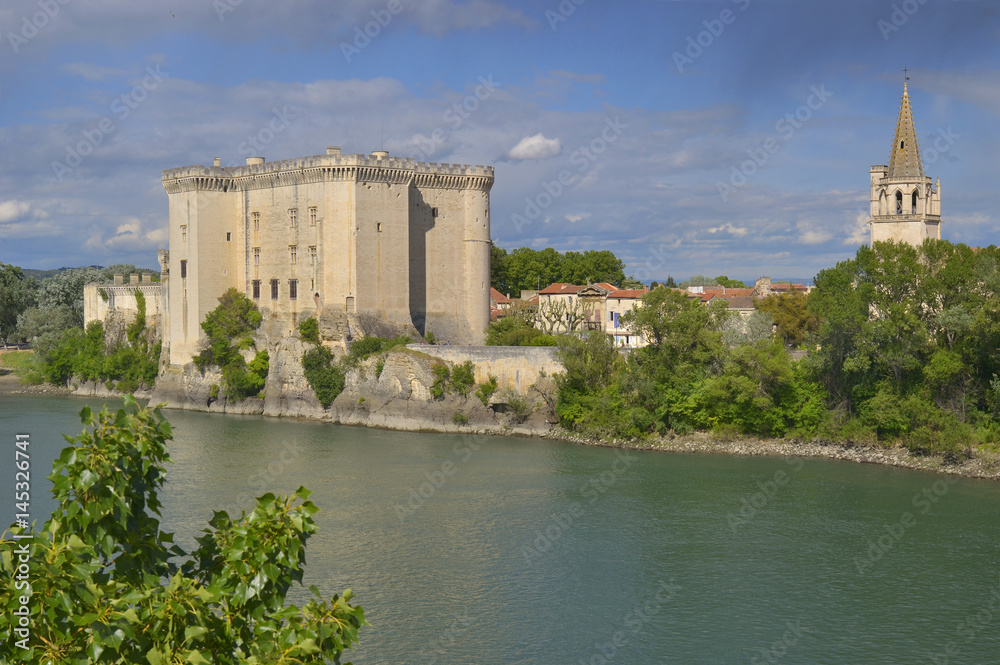 View to King Rene's castle and St Martha's Church from opposite bank of Rhone river. Tarascon, France
