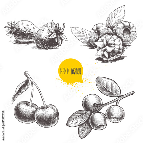 Hand drawn sketch style berries set. Raspberry with leafs, strawberries, cherry and blueberries branch. Healthy fruit and berry vector retro illustration on white background.