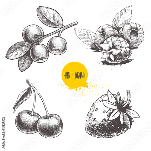 Hand drawn sketch style berries set. Raspberry with leafs, strawberries, cherry and blueberries branch. Healthy fruit and berry vector vintage illustration on white background.
