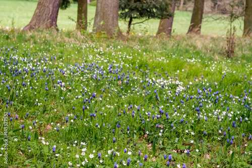 Landschaftspark Degenershausen