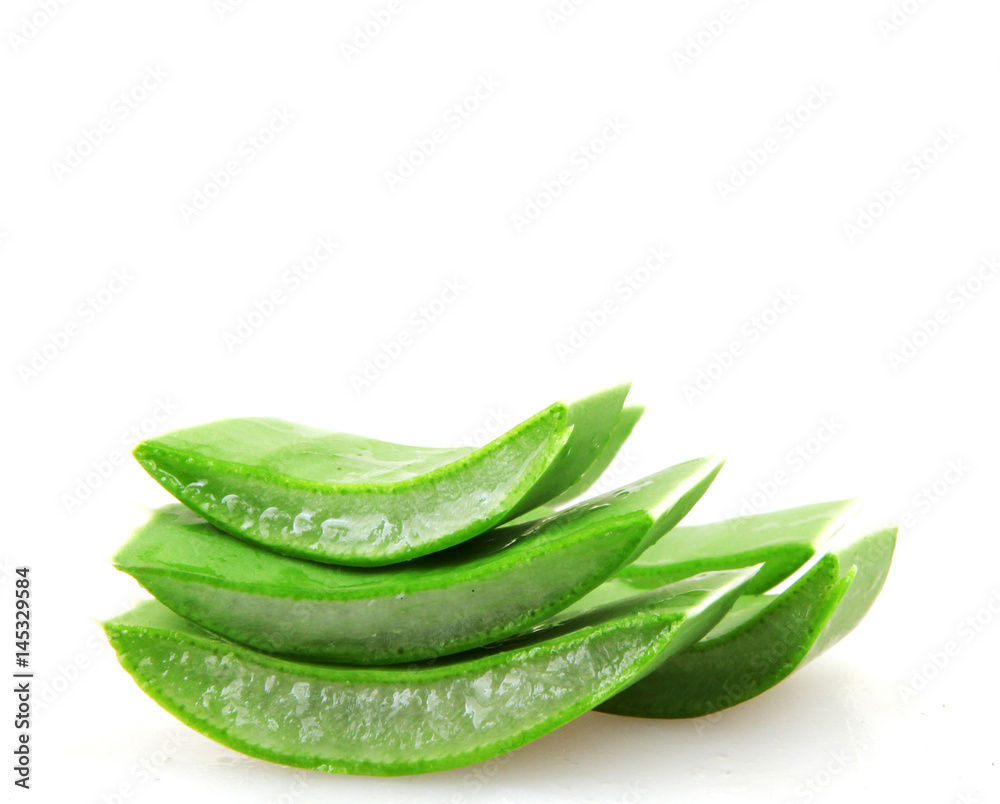 Aloe vera isolated on white background. Aloe vera isolated on white background.