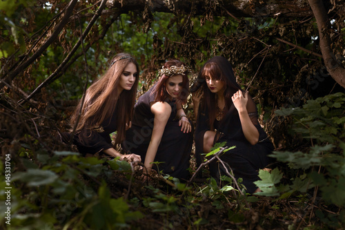 Witches in the dark summer forest