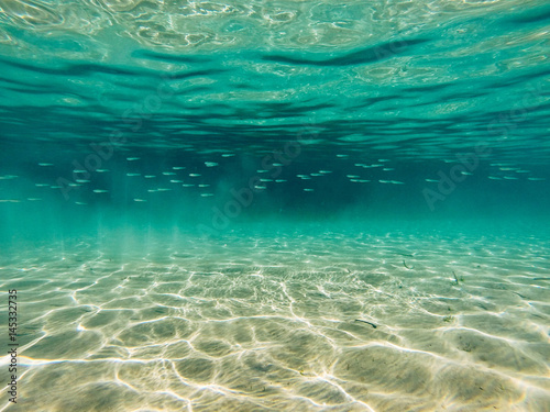 Under water view