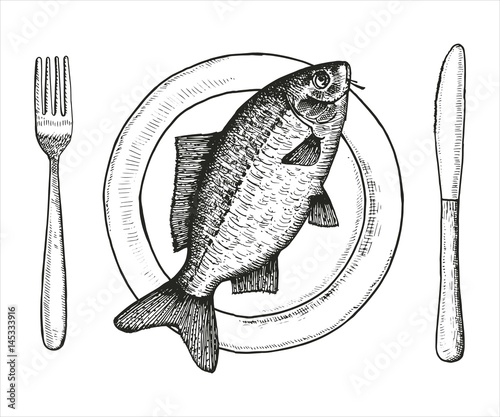 Fish carp on a plate. Vector vintage illustration