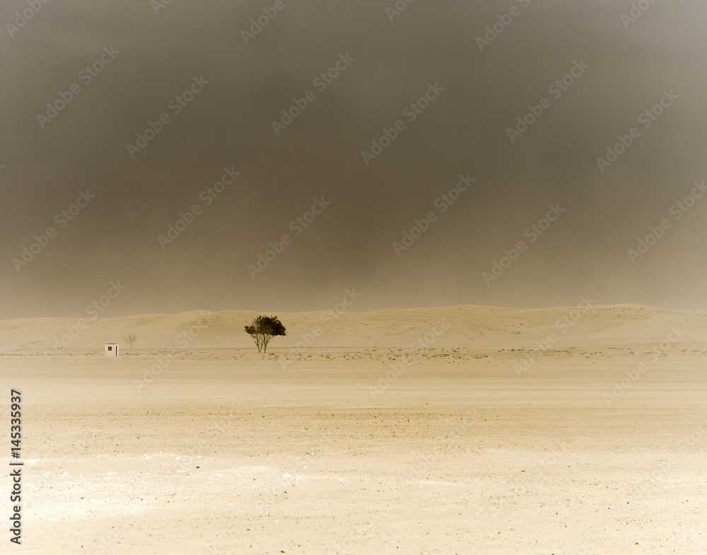 Obraz premium The sandstorm is coming