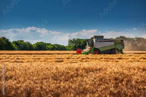 Combine harvester agriculture machine harvesting golden ripe wheat field