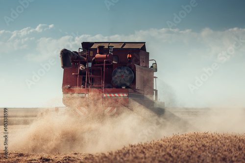 Combine harvester agriculture machine harvesting golden ripe wheat field