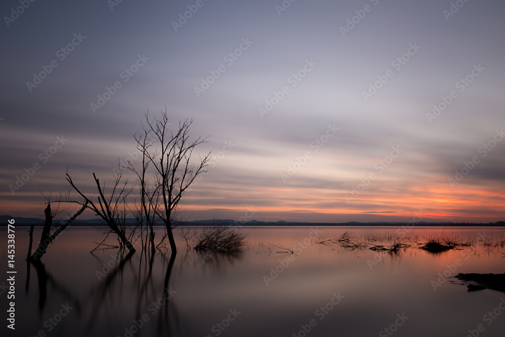 Long exposure photo of a lake at dusk, with trees and branches coming out of still water, and a beautiful sky with moving clouds