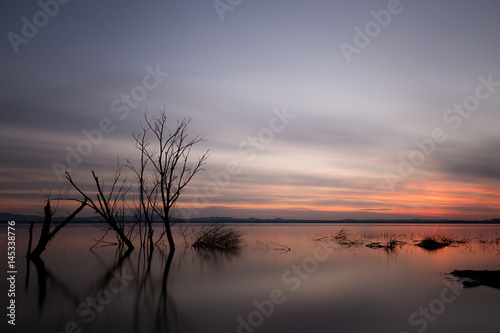 Long exposure photo of a lake at dusk  with trees and branches coming out of still water  and a beautiful sky with moving clouds