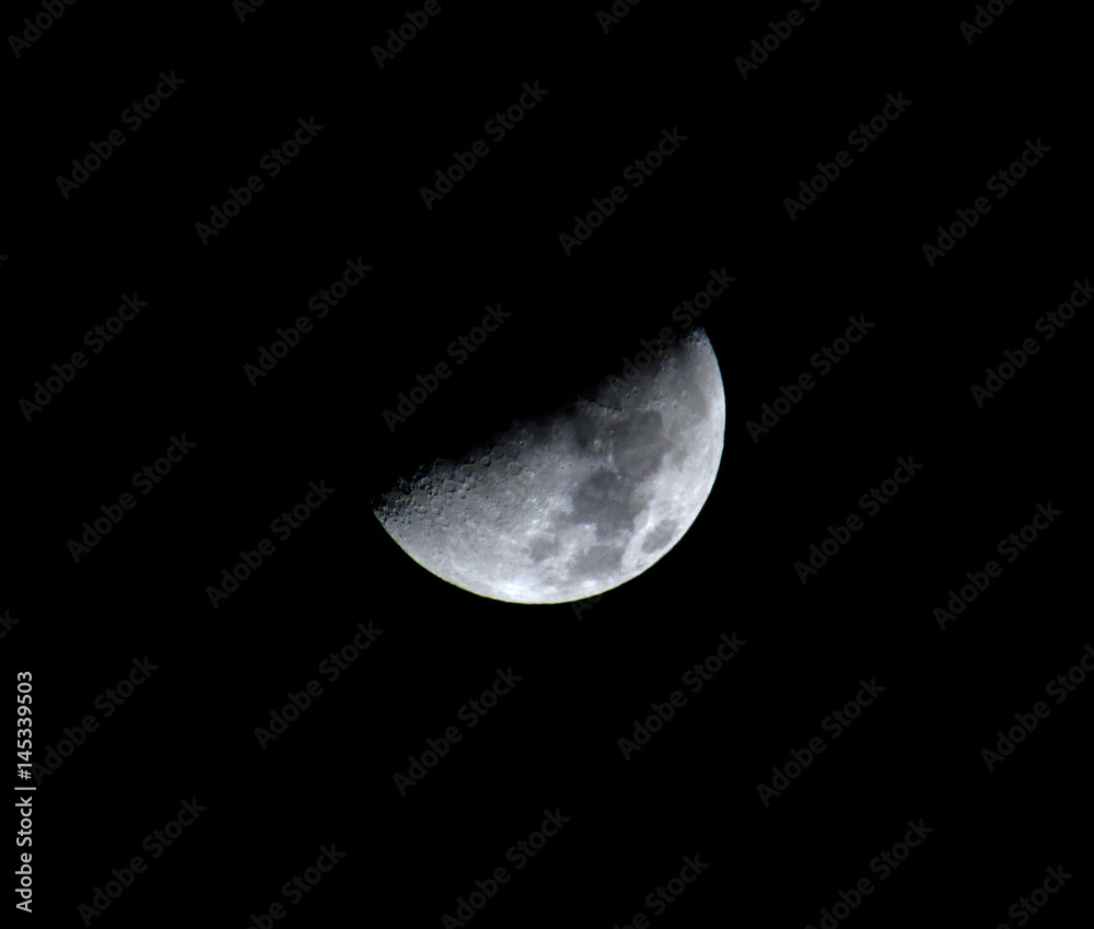 Moon Moon