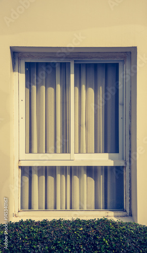 image of window and plant.