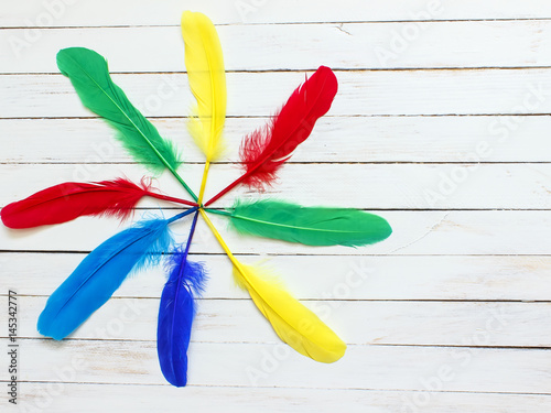 Beautiful multicolored feathers on a white wooden background photo