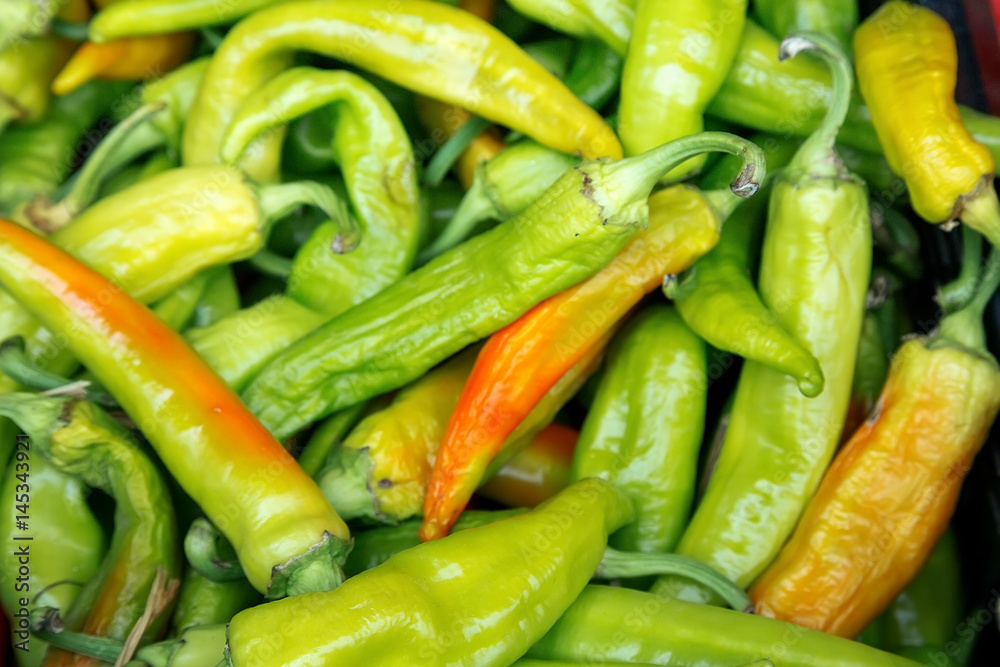 Green chili pepper high contrast background